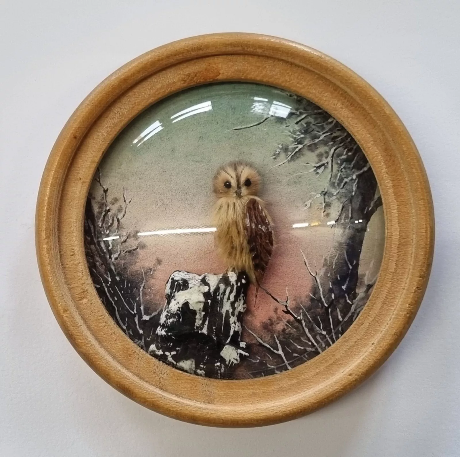 Tawny Owl (Version 3)